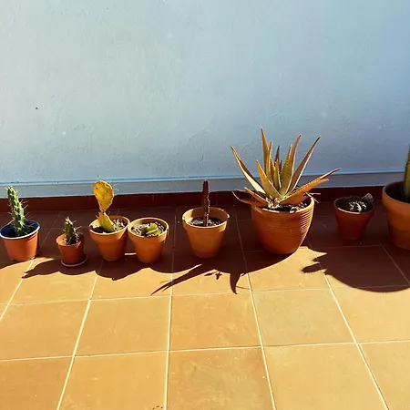 Studio Apartment Carvoeira