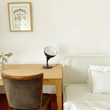 Apartment Studio Carvoeira